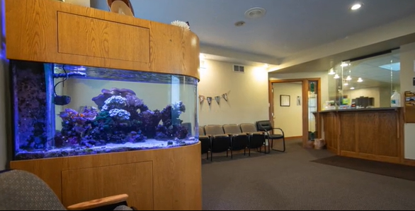 Inside view of Ionia Office with fish tank and font desk